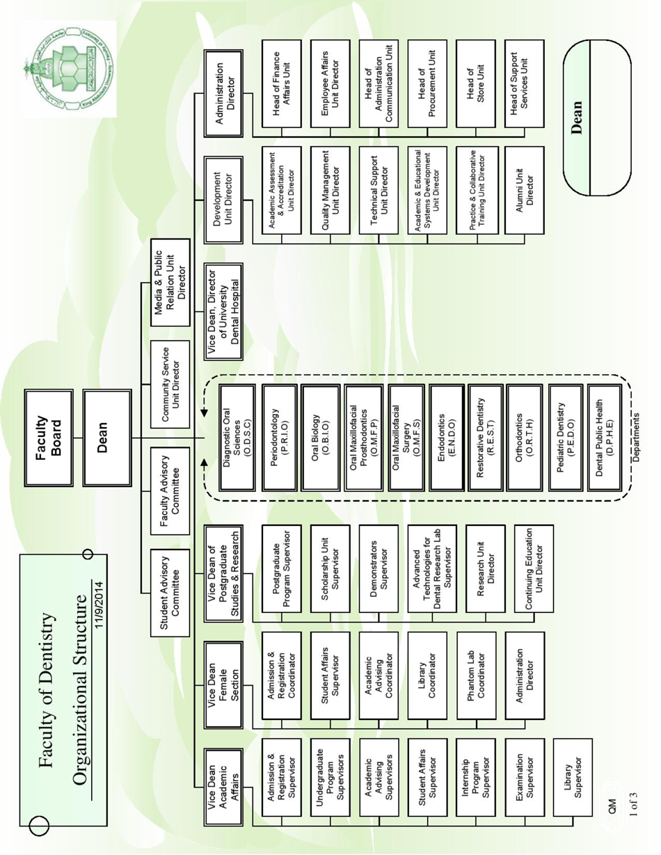 Organizational Structure
