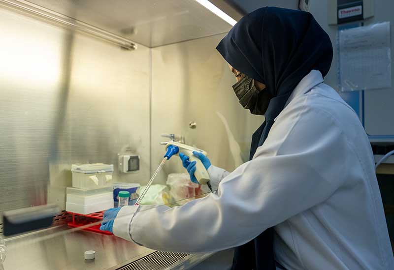 صورة الحرم الجامعي