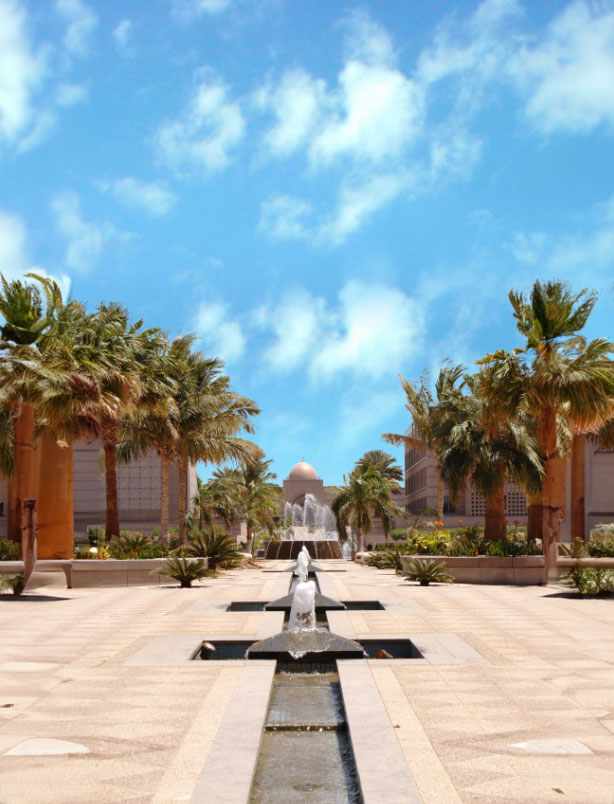 صورة الحياة الجامعية