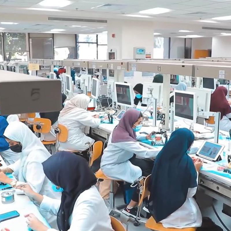 صورة الحياة الجامعية