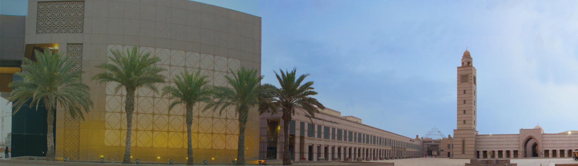 صورة الحياة الجامعية