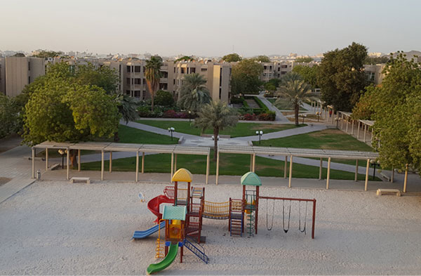 صورة الحياة الجامعية