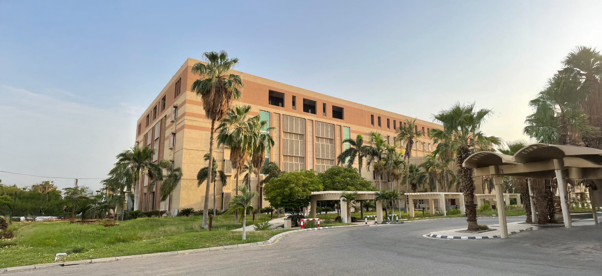 صورة الحياة الجامعية