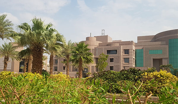 صورة الحياة الجامعية