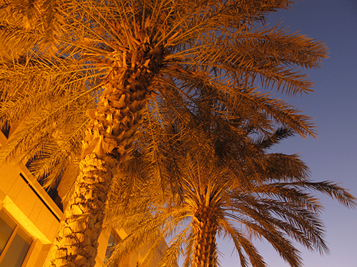 صورة الحرم الجامعي