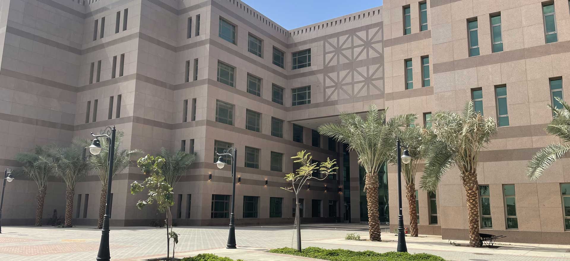 لمحة عامة