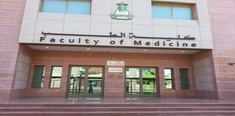 لمحة عامة