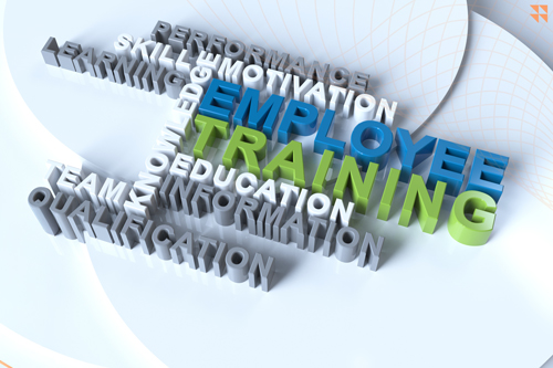 Media Skills Document Program