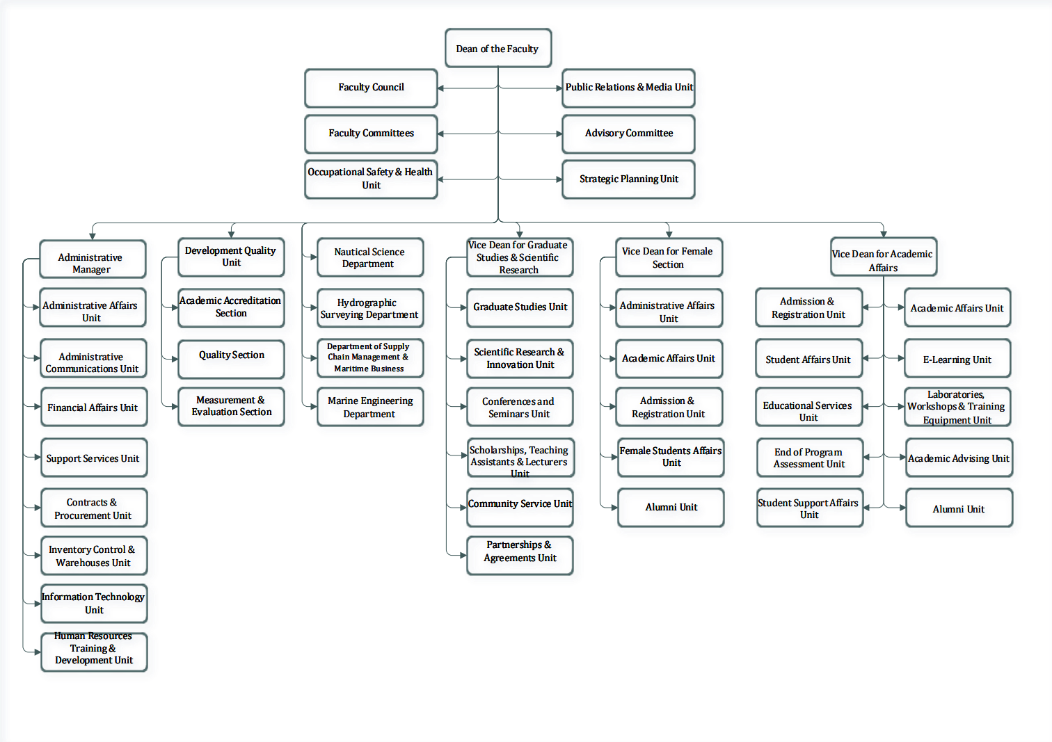 Organizational Structure