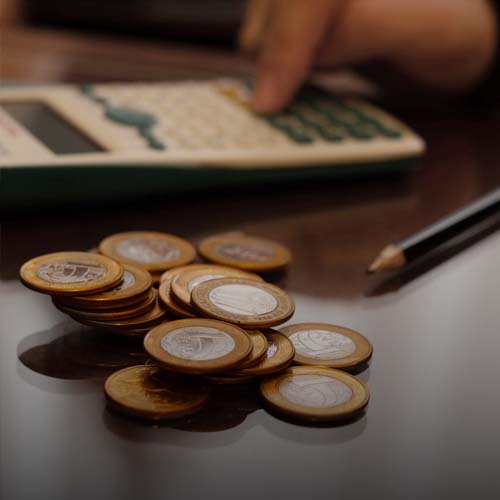 Funding and Institutional Support